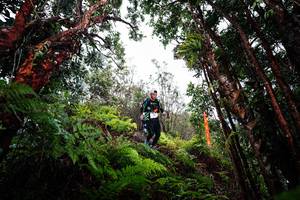 BIB: 
                            <button type="button" onclick="openModal(26202156)" class="btn btn-primary btn-sm float-right btn-popup" data-toggle="modal" data-target=".modal-high-quality">
                        <i class="fas fa-shopping-cart"></i> Add to Cart
                    </button>
                                            <button type="button" onclick="isThisMe(26202156, true)" class="btn btn-success btn-sm float-right btn-popup btn-isme hidden" data-toggle="tooltip" data-placement="bottom" title="นี่คือรูปของคุณใช่ไหม คลิกที่นี่เพื่อเอาเข้าอัลบั้ม">
                        <i class="fas fa-plus"></i> Add to album
                    </button>
                    <button type="button" onclick="isThisMe(26202156, false)" class="btn btn-warning btn-sm float-right btn-popup btn-isnotme hidden">
                        <i class="fas fa-ban"></i> Remove from album
                    </button>